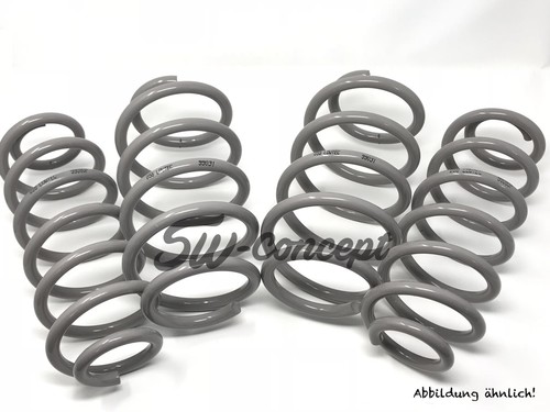 Lowtec tieferlegungsfedern - lowtec,